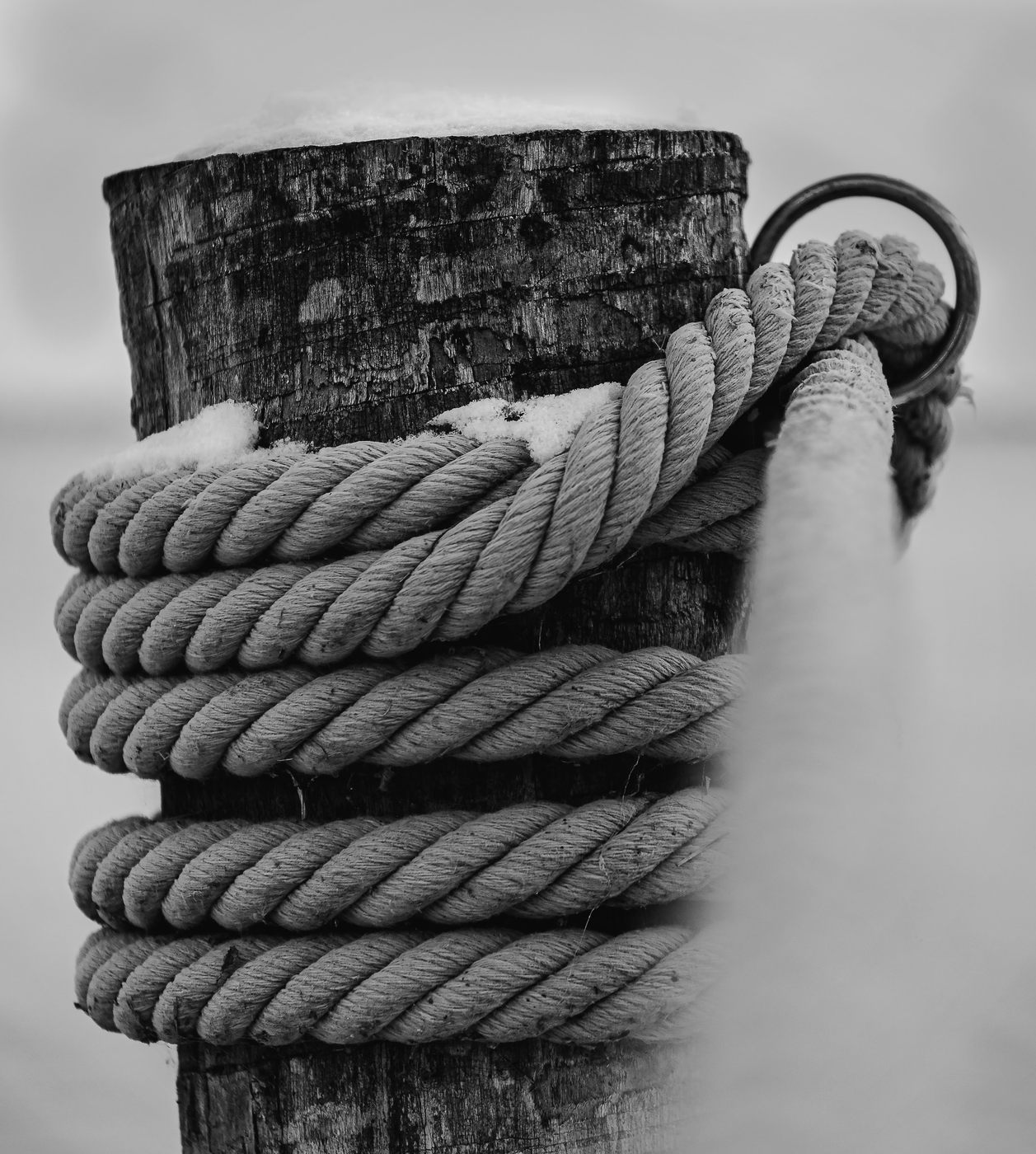 Knot